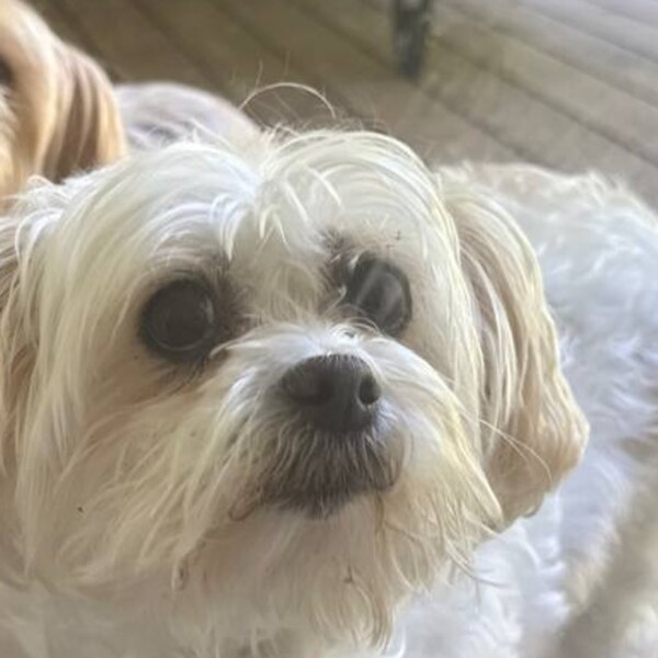 Maggie