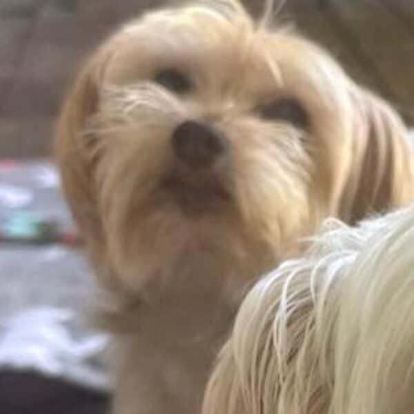 Zoey